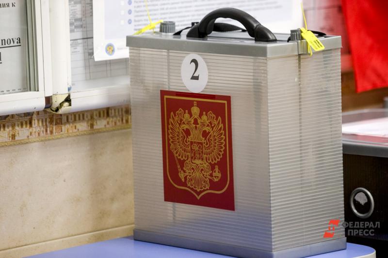 Тюменцы смогут голосовать дистанционно в случае введения особых режимов