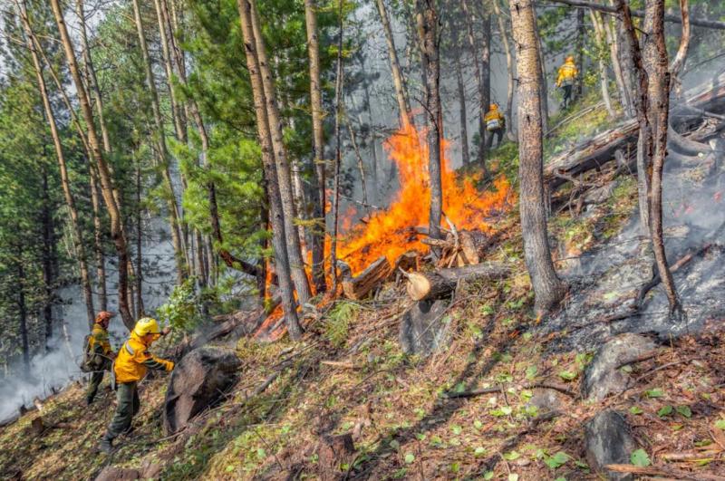 Видеонаблюдение поможет в борьбе с лесными пожарами