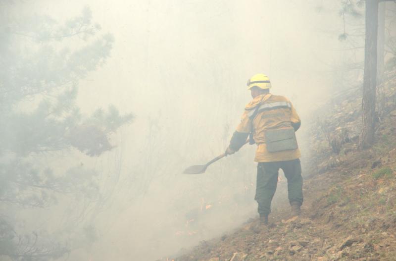 Лесной пожар распространяется возле села Эссо