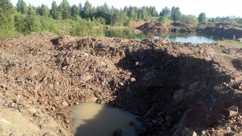 Осушение Шиловских болот может привести к пожарам