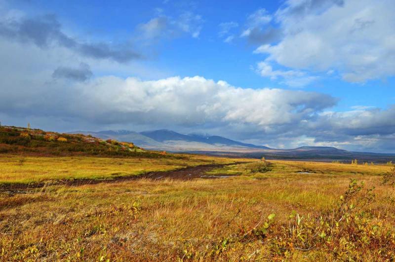 На Ямале можно будет получить бесплатно гектар земли