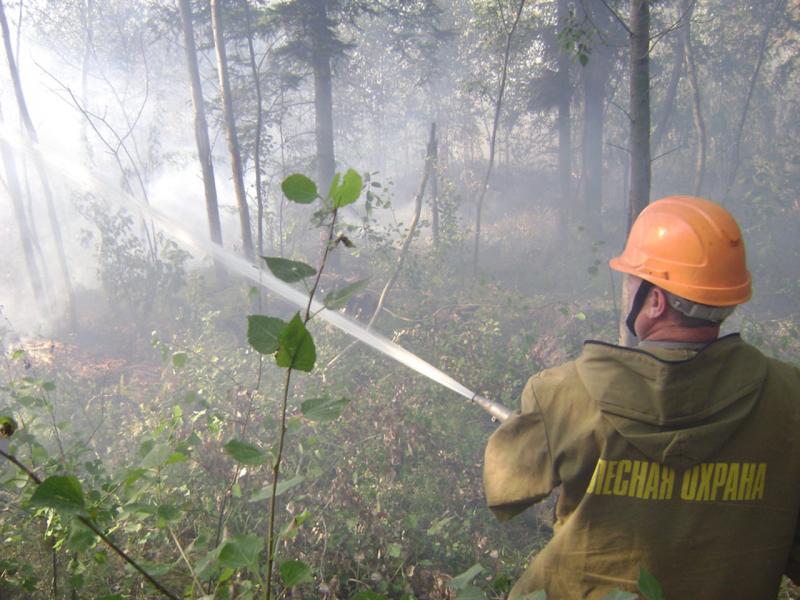На территории округа действует 18 лесных пожаров