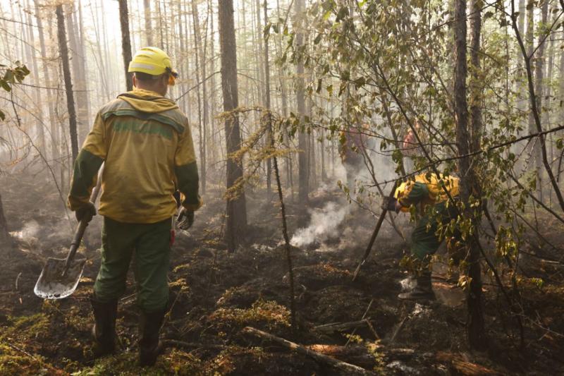 На территории округа зарегистрировано 13 пожаров в лесах