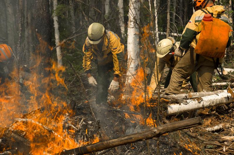 В двух районах Ямала горят леса