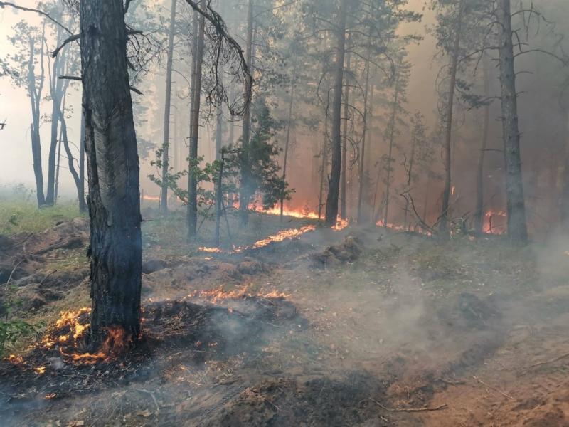 Леса горят в Майнском районе, недалеко от Белого озера