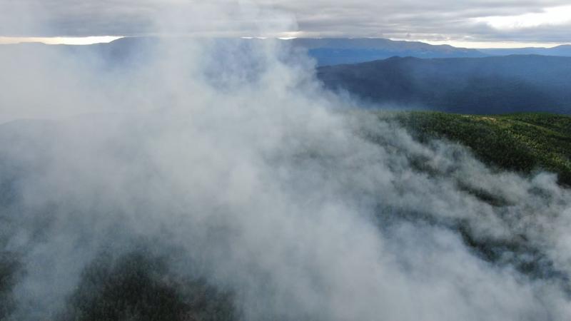 В уральском заповеднике «Денежкин Камень» пожар охватил 65 гектаров