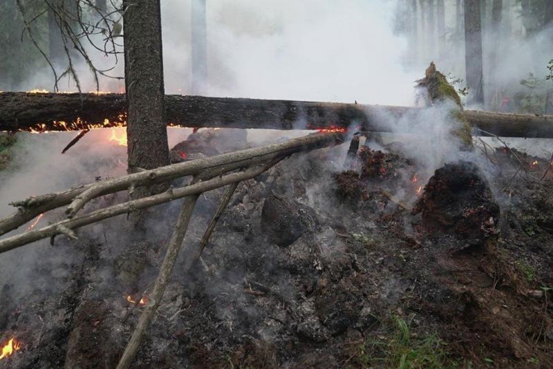 На Урале в заповеднике «Денежкин Камень» пожар охватил 30 гектаров леса