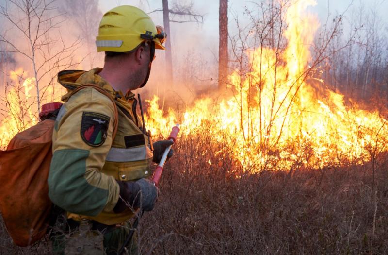 В Якутии пожары уничтожили почти 350 тысяч гектаров леса