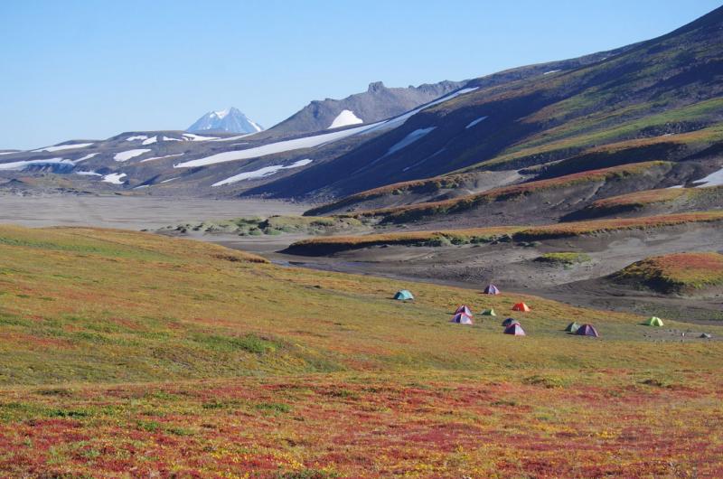 Исследовательский проект посвящен перспективной теме Арктики