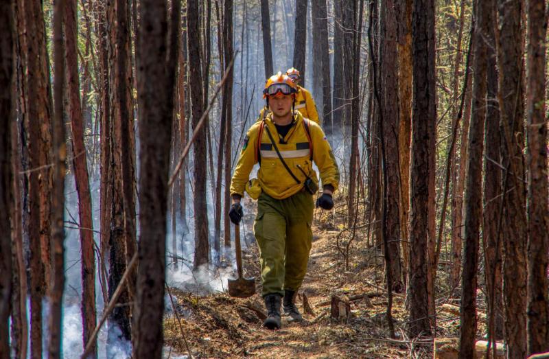 Власти опасаются осложнения ситуации с лесными пожарами