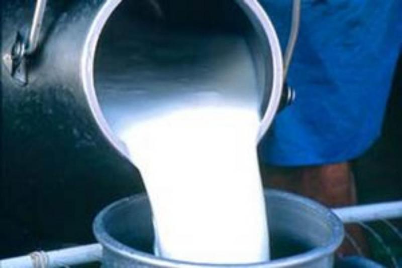 Молочная продукция помогла выжить жителям осажденного города