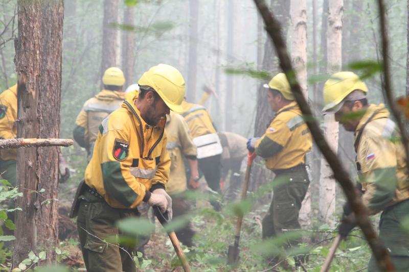 В России вдвое увеличилось число лесных пожаров