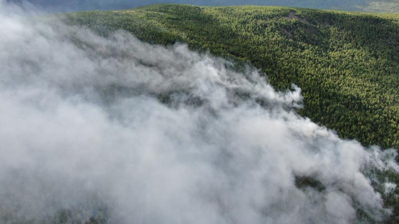 В уральском заповеднике «Денежкин камень» опасаются катастрофического разрастания пожара