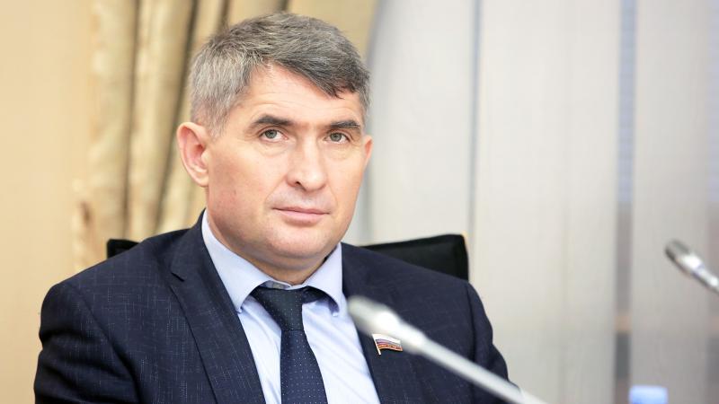Олег Николаев разместил декларацию о доходах на официальном сайте