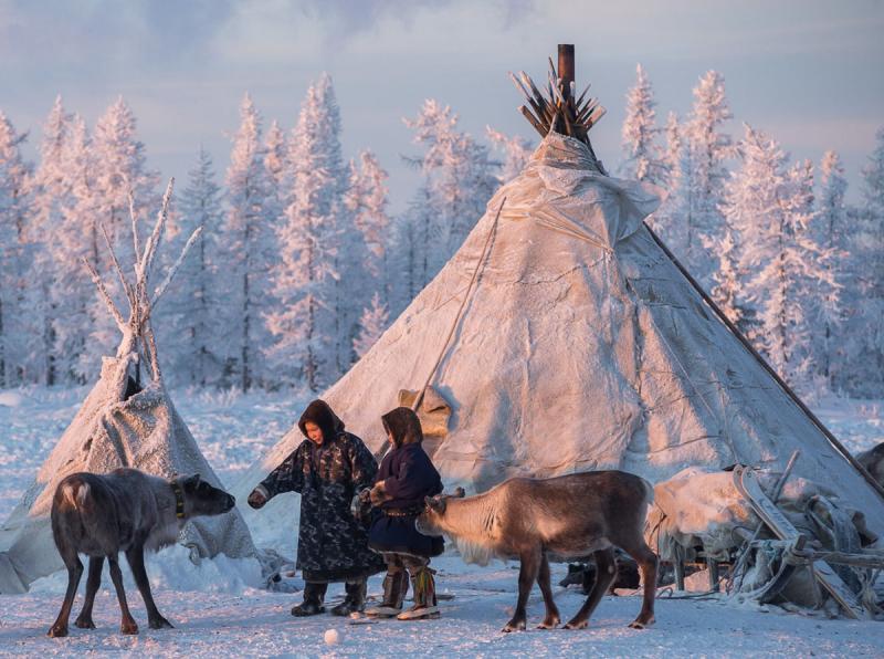 «Кочевники озабочены будущим своих детей»: эксперты о жизни коренных народов Ямала