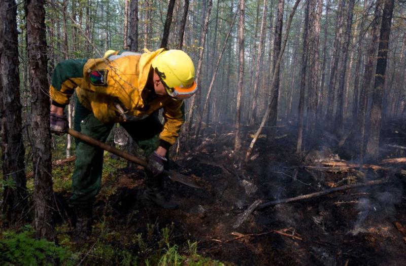 На Ямале полыхают лесные пожары