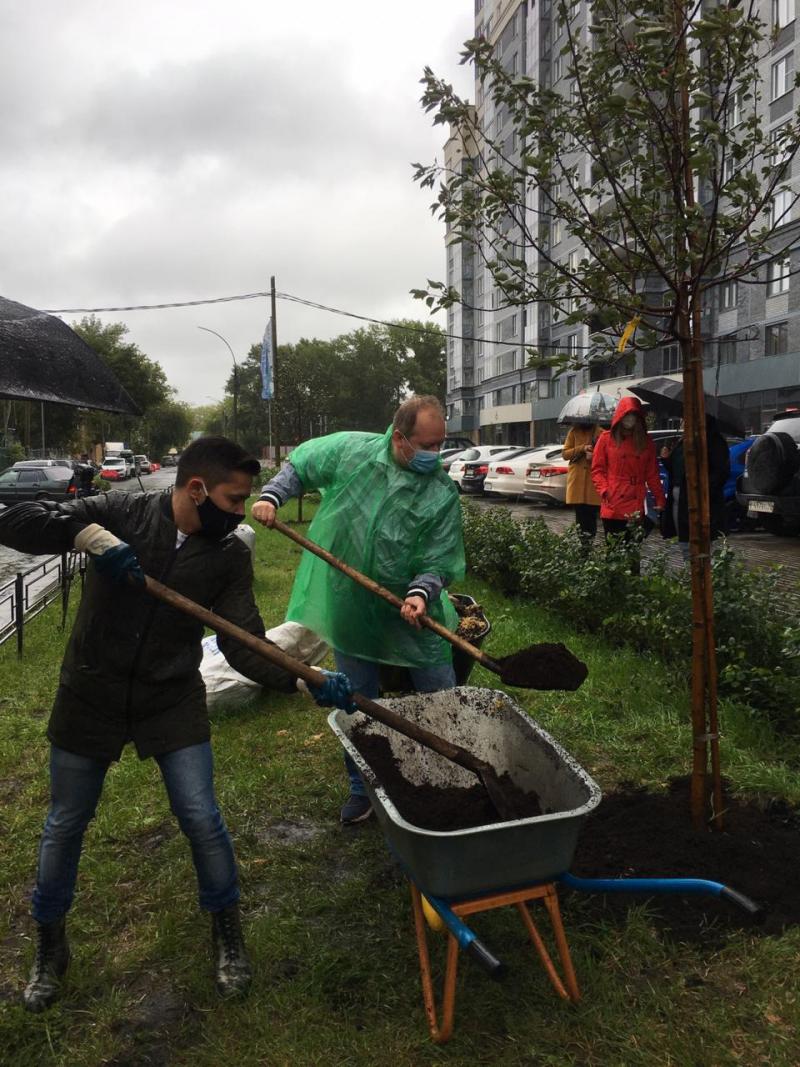 Новую аллею деревьев высадил в Екатеринбурге застройщик филармонии