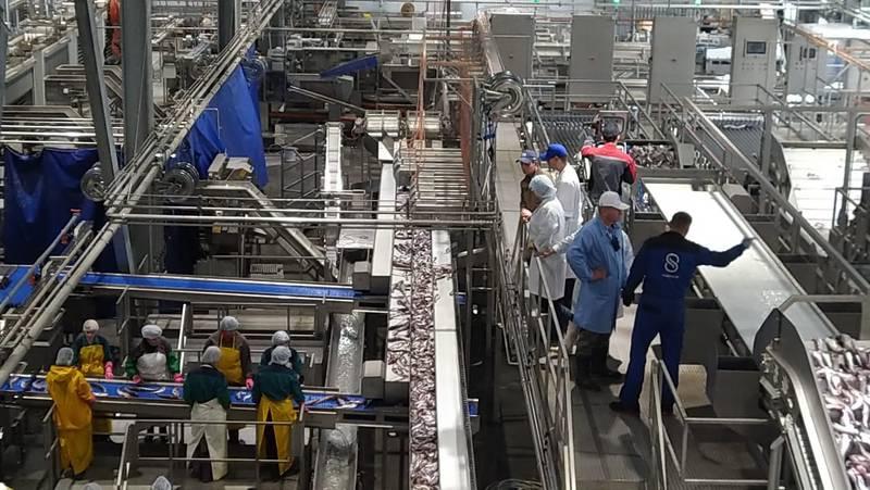 АО «Курильский рыбак» открывает на Шикотане новый завод.