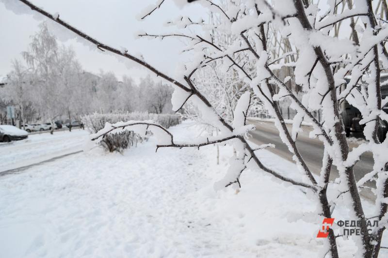 В Горном Алтае выпал первый снег