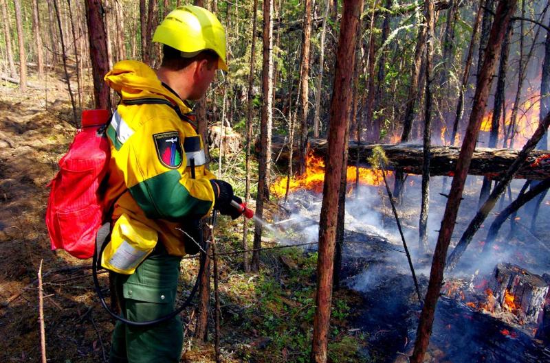 Рослесхоз направил группировку в Томскую область для тушения пожаров