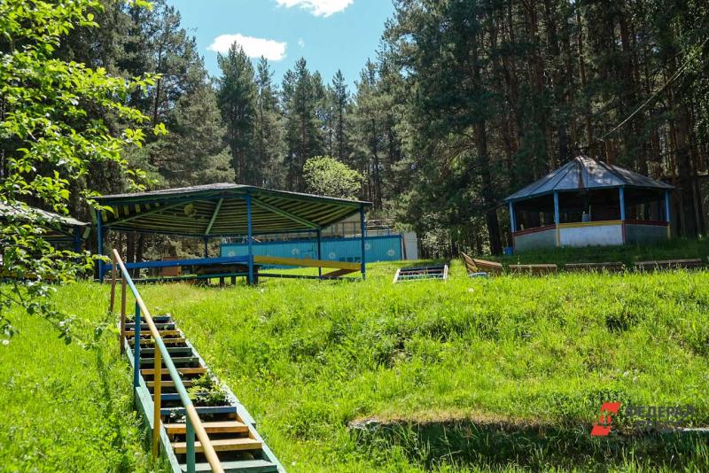 В Новосибирской области детские лагеря этим летом будут пустыми