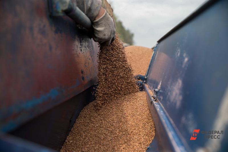 В Красноярском крае собрали 2,2 млн тонн зерна