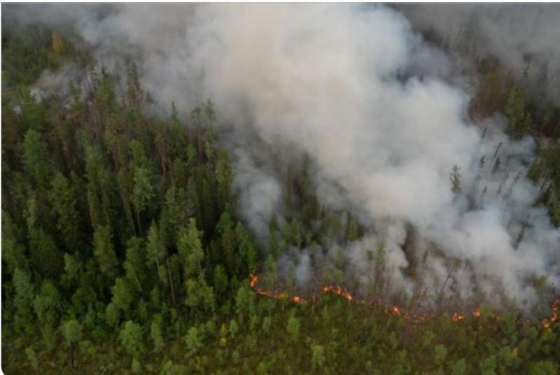 В Томской области площадь лесных пожаров за выходные выросла почти вдвое