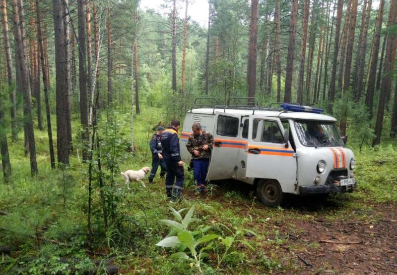 Ежегодно в лесах и горах Иркутской области теряется несколько сот человек