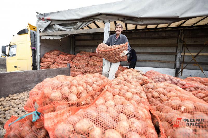 Картофель - один из товаров, который идет на экспорт из Тюменской области