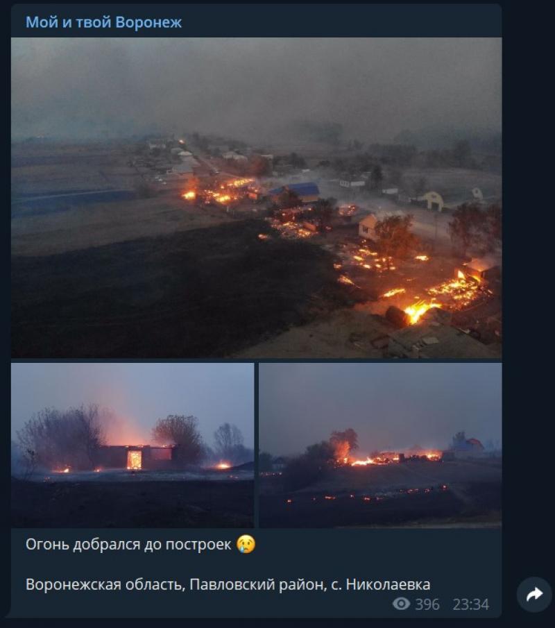 Лесной пожар в Воронежской области перекинулся на жилые дома