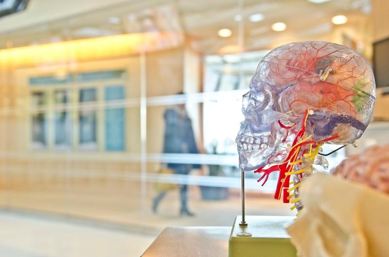 Британские ученые выяснили, как коронавирус влияет на работу мозга