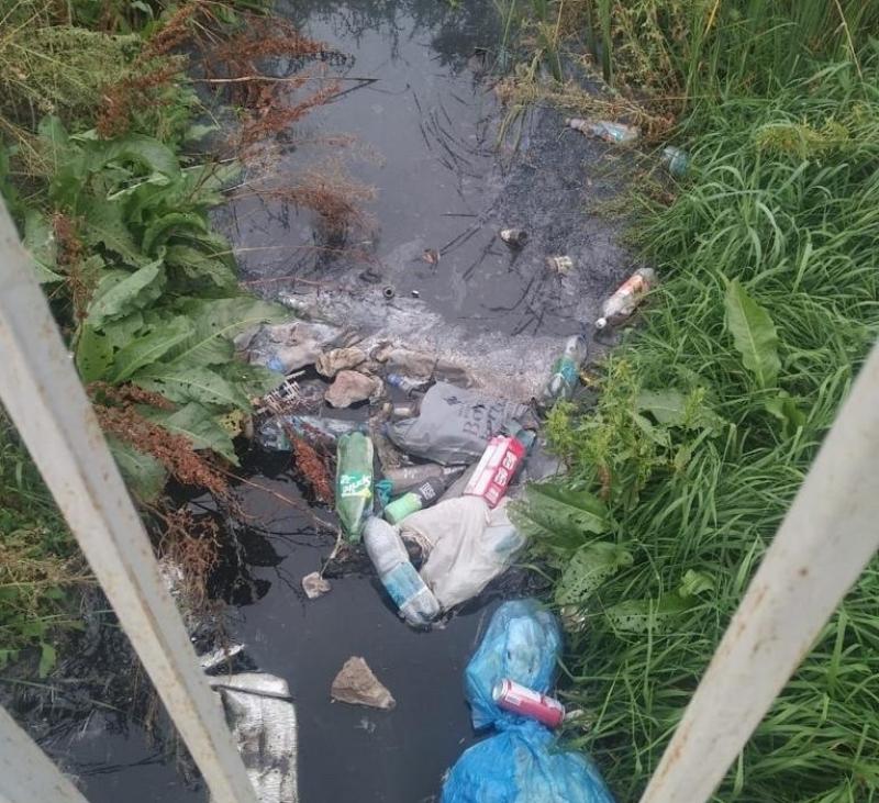 Активисты просят наказать главу Агаповского района за загрязнение реки Урал