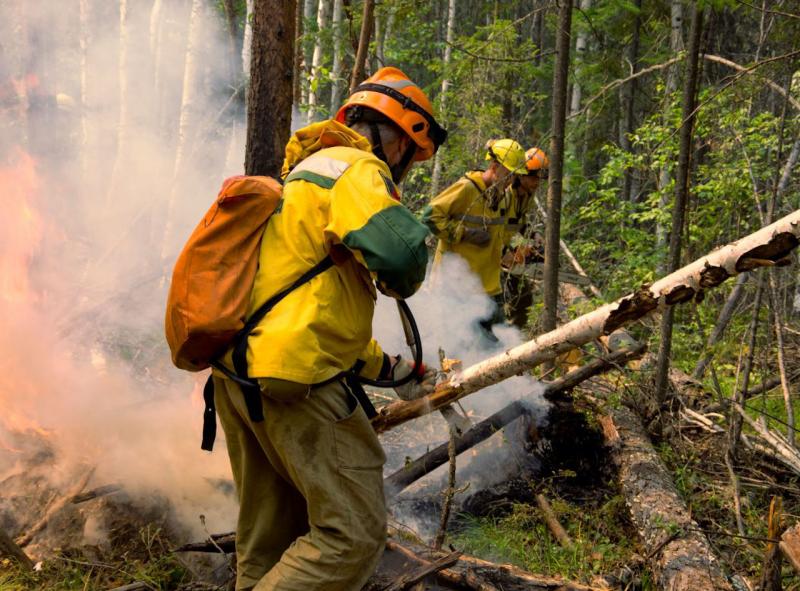 На Колыме спасатели справились с крупным лесным пожаром
