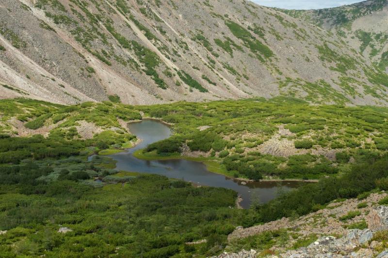 Стартовый комплекс для губернаторов. Приамурье – регион с разным потенциалом