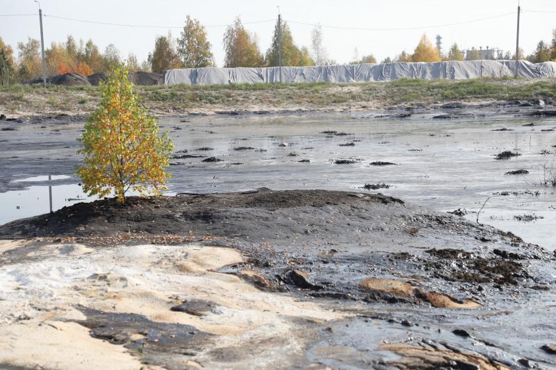 В Нижегородской области ликвидируют опасные свалки