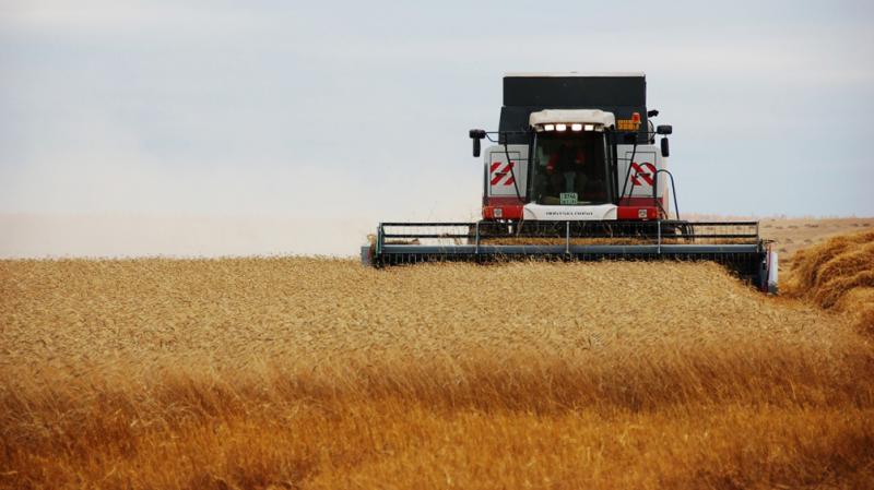 В  регионе собрано 2,8 млн тонн зерна