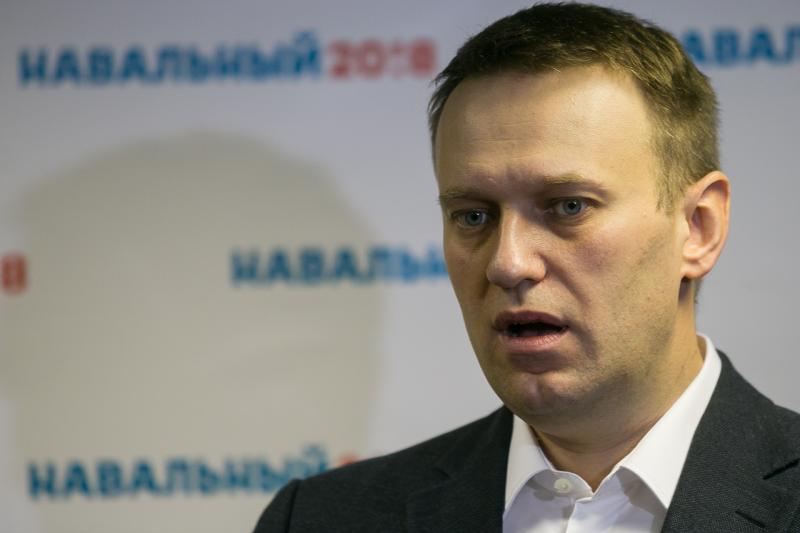 Член ОП РФ прокомментировала слова Алексея Навального