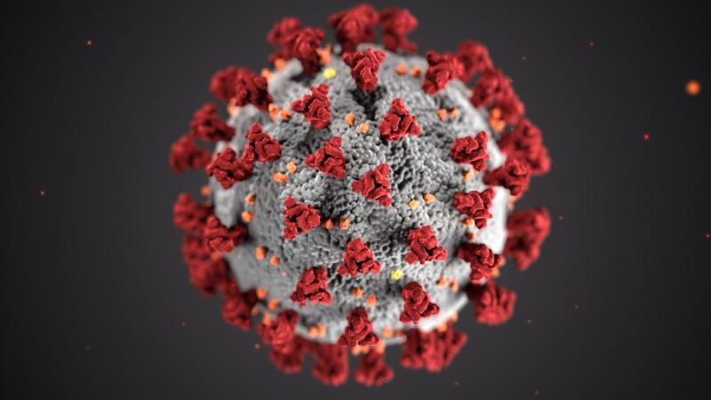 Вирус SARS-CoV-2 способен облегчать боль