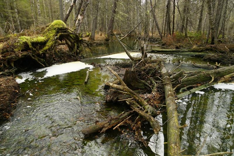 Экологи выявили в реке Тамшер превышение норм меди в 60 тысяч раз