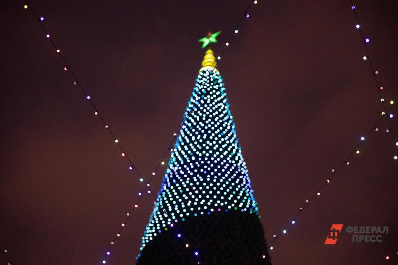 В центре Екатеринбурга началось возведение новогодней елки