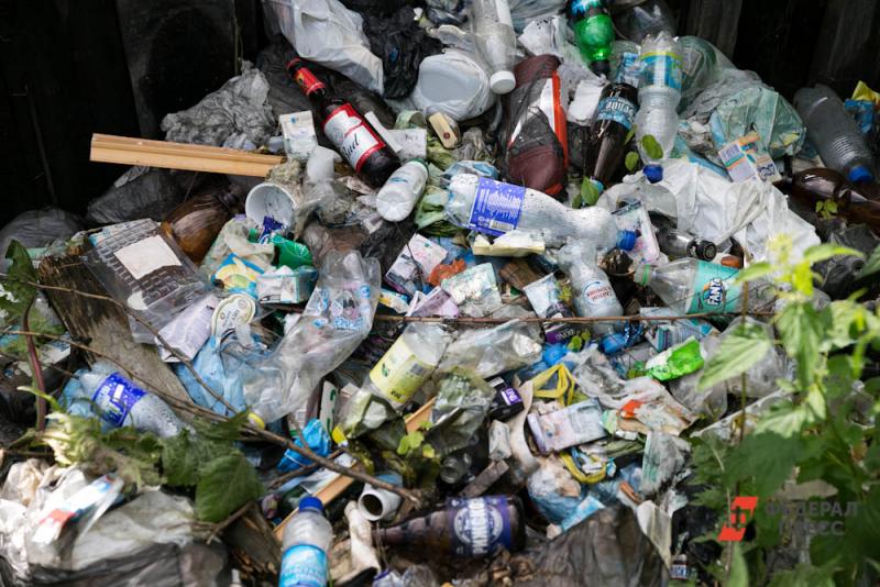 Контракт на устранение мусорной свалки заключило ГБУ Нижегородской области «Экология региона»