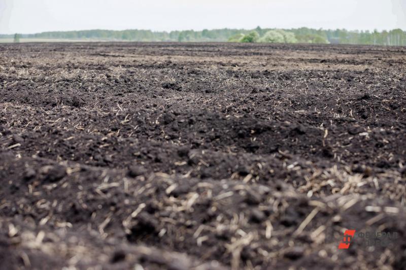 В Новосибирске ученые обнаружили цинк и свинец в почве около оловянного завода