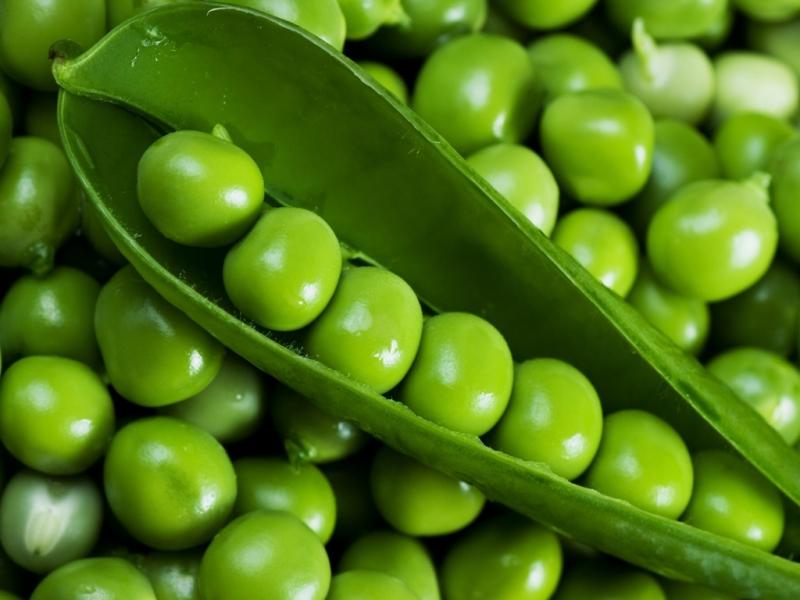 Горох