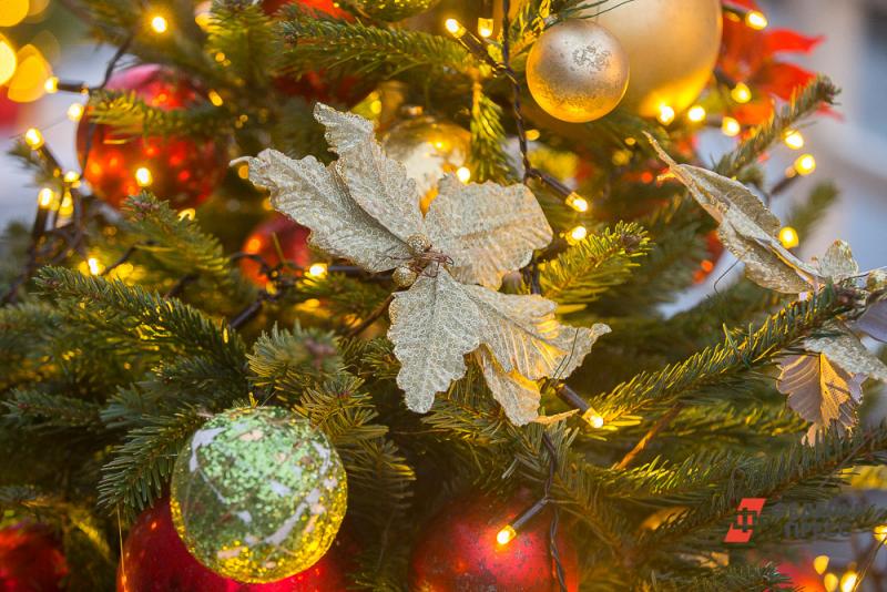 Глава Евпатории подарит особенной девочке домашний планетарий