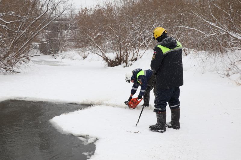 Кемеровские спасатели снова помогают искитимским уткам