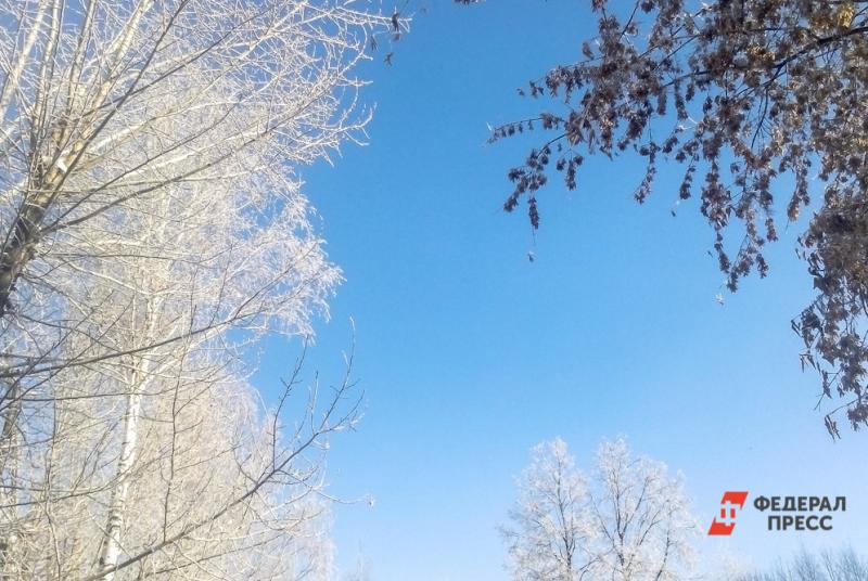 В Москве прогнозируют самые холодные сутки за четыре года