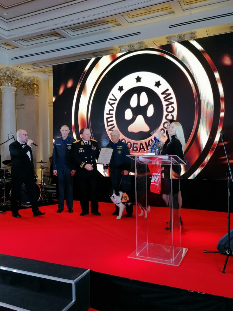 В России наградили лучшую собаку-спасателя 2020 года