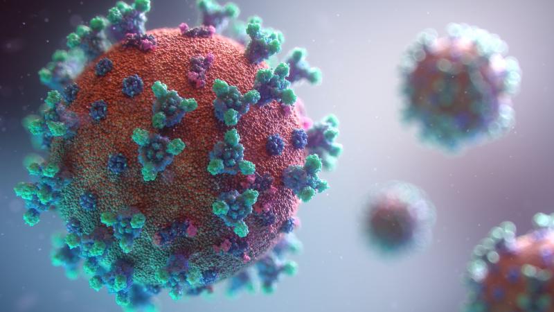 ВОЗ опубликовала доклад о происхождении коронавируса