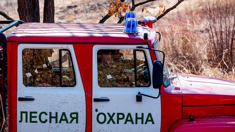 В Свердловской области введен противопожарный режим