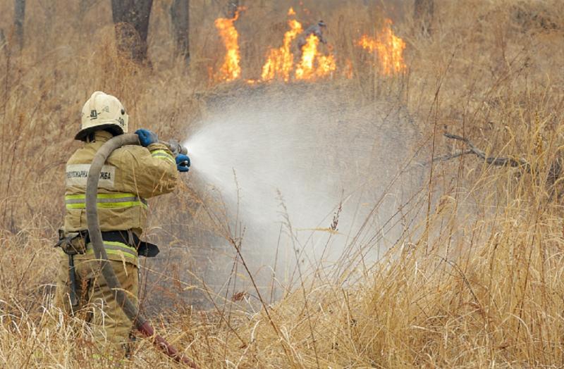 В Приморье ввели особый противопожарный режим